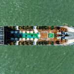 Dolphin Luxury Day Cruise: Discover the Best of Halong Bay - Transportation and Practicalities