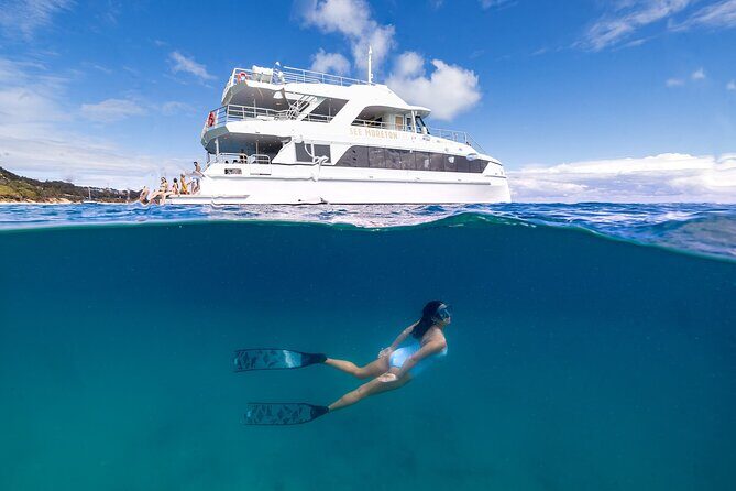 Dolphin & Tangalooma Wrecks Snorkel Cruise & Lunch - Gold Coast - Who Would Love This Tour?