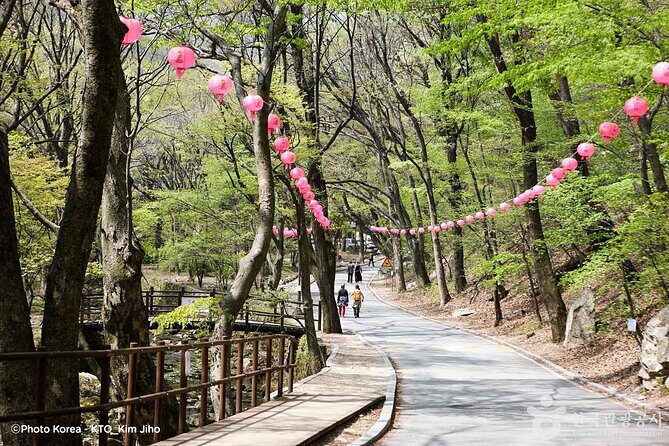 Donghaksa Temple Cherry Blossom and Jeonju Hanok Village - Authentic Experiences and Hidden Gems