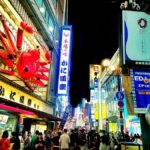 Dotonbori & Shinsekai Guided Walk + Multilingual Audio Guide - A Close Look at the Itinerary