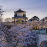 Drum Workshop Tour with Sake Brewery Meal in Kanazawa - Why This Tour Is a Great Value