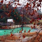 Dujiangyan Irrigation and Qingcheng Mountain Private Day Tour from Chengdu - Final Thoughts: Is This Tour Worth It?
