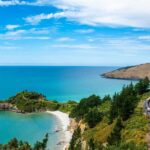 Dunedin Cruise Excursion: Express Coastline Rail Tour - What Does the Tour Include?