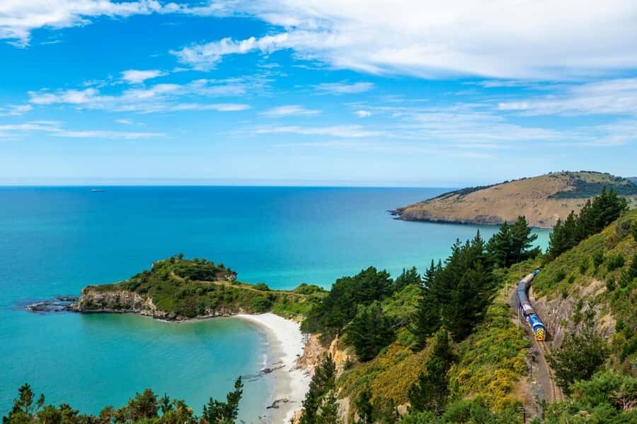 Dunedin Cruise Excursion: Express Coastline Rail Tour - What Does the Tour Include?