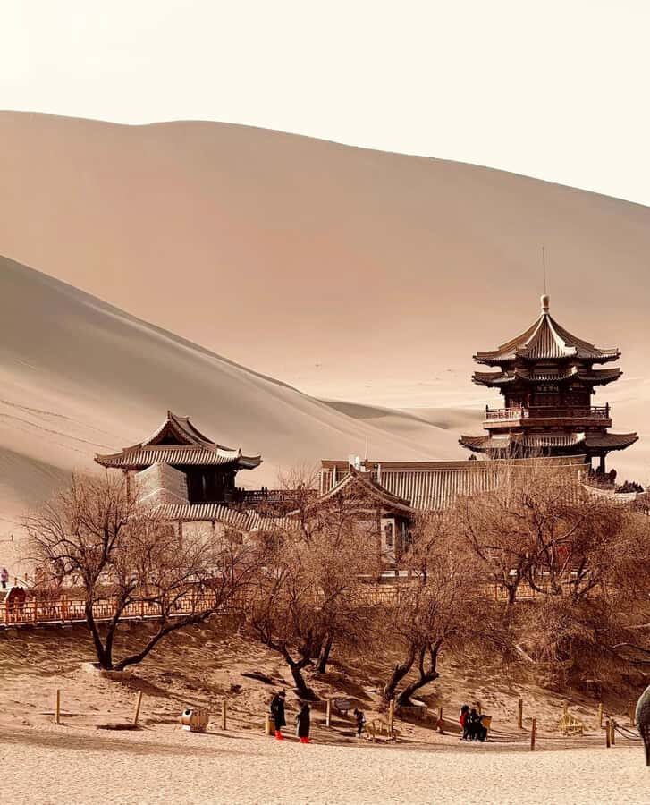 Dunhuang Highlights Tour: Mogao Caves, Desert & Night Market - What to Expect: A Day Packed with Wonder