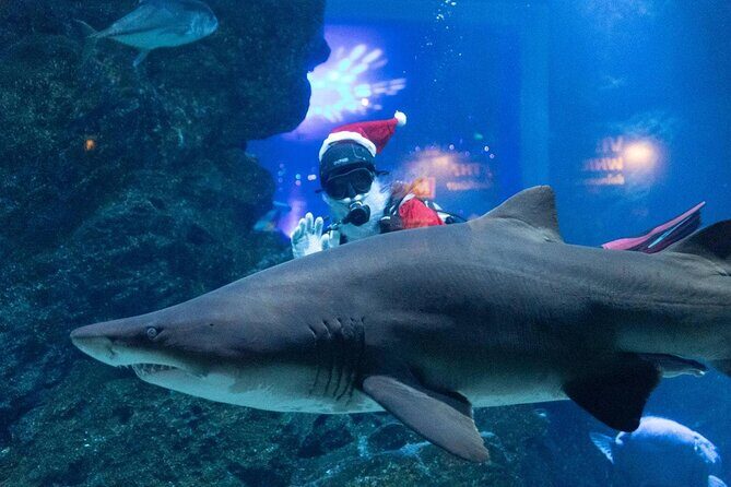 Duo SEA LIFE and Madame Tussauds Ticket in Bangkok - Stepping into Hollywood at Madame Tussauds Bangkok