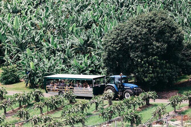 E-bike Rail Trail & Tropical Fruit World Tour: Gold Coast & Byron - The Scenic Highlights and the Tunnel