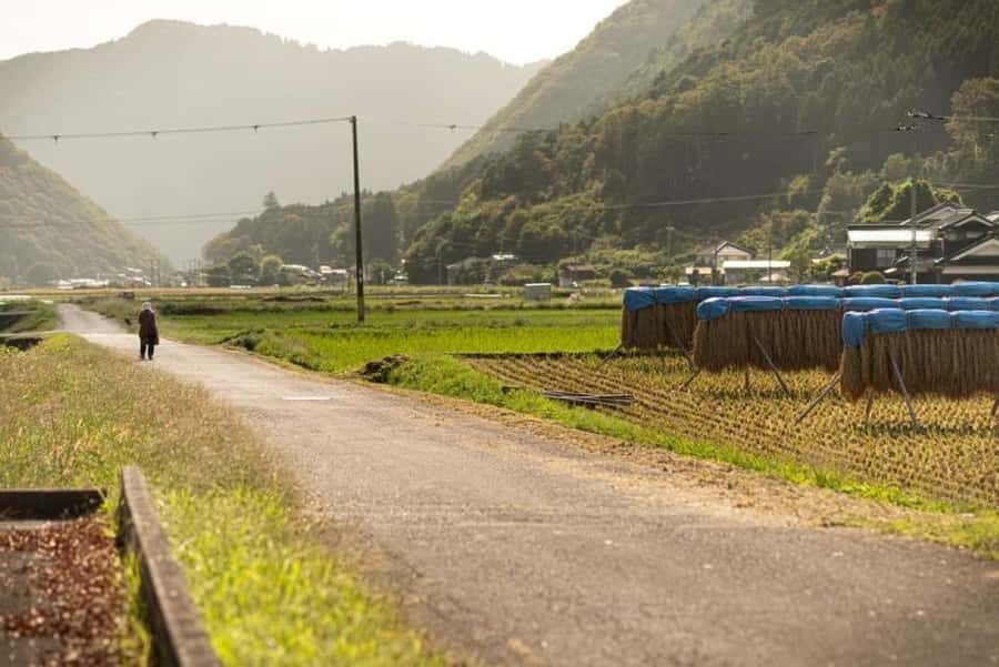 e-bike Tour in the Shiso Region with Lunch at a Sake Brewery - Additional Practical Details
