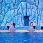 E-Ticket: Zhuhai Chimelong Ocean Kingdom, Circus & Penguin Hotel 1-night Coupon - FAQs