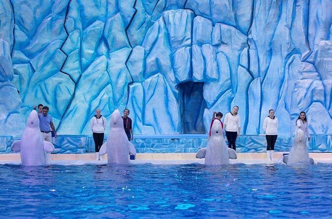 E-Ticket: Zhuhai Chimelong Ocean Kingdom, Circus & Penguin Hotel 1-night Coupon - FAQs