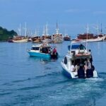 Early Morning Small-Group Komodo Speedboat Tour - Why Choose the Early Morning Komodo Speedboat Tour?