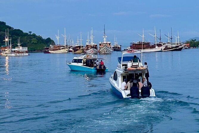 Early Morning Small-Group Komodo Speedboat Tour - Why Choose the Early Morning Komodo Speedboat Tour?