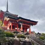Early Morning Walking Tour: Historic Temples and Shrines - The Route and Its Unique Charm