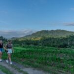 East Bali Authentic Sidemen Rice Fields Walk and Snorkeling - Practical Details and What You Can Expect