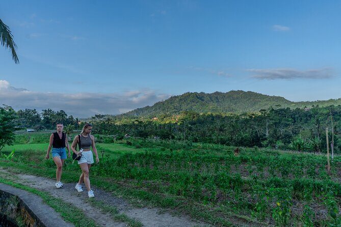 East Bali Authentic Sidemen Rice Fields Walk and Snorkeling - Practical Details and What You Can Expect