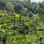 East Bali: Bali Bestie Full Day Tour - The Experience: Why It Works and Who Will Love It