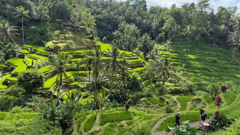 East Bali: Bali Bestie Full Day Tour - The Experience: Why It Works and Who Will Love It