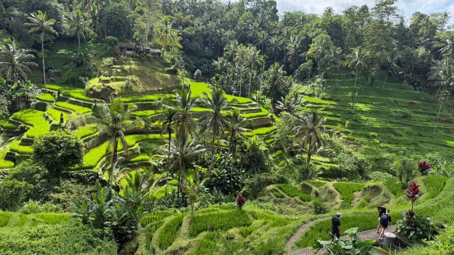 East Bali: Bali Bestie Full Day Tour - The Experience: Why It Works and Who Will Love It