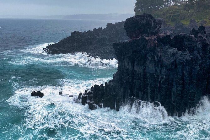 Eastern Jeju: All Inclusive Private Tour w/ Tangerine picking - Practical Details That Matter