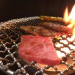 Eat, Drink, Cycle: Osaka Food and Bike Tour - A Deep Dive into the Itinerary