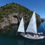Eco Sailing Tour to Maori Rock Carvings on Lake Taupo - Why Choose This Tour?