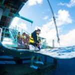 Eco Snokeling in Piti Bay Marine - The Sum Up