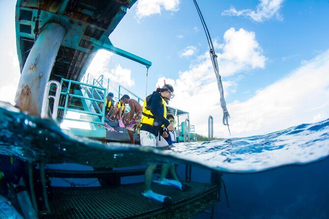 Eco Snokeling in Piti Bay Marine - The Sum Up