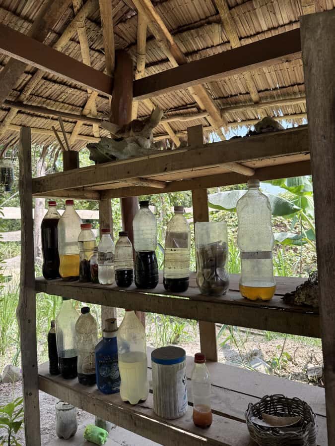 El Nido, Sibaltan: Local Organic Farm Tour & Product Tasting - Discovering El Trinidad Organic Farm