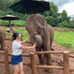 Elefin Farm & Cafe Half-day tour with Private Car - What Makes This Tour Stand Out?