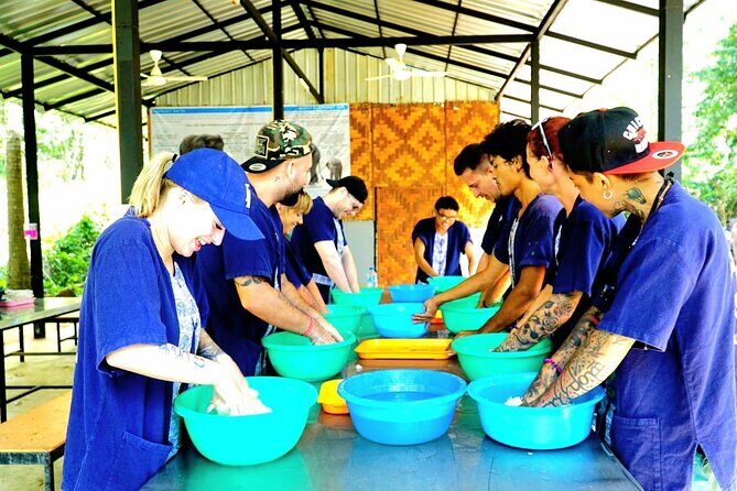 Elephant Care Experience - Who Will Enjoy This Tour?