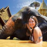 Elephant care with Wat Umong, Doi Suthep and Night City view - Practical Details and Considerations