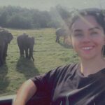 Elephant Safari Hurulu Eco park - What to Expect During the Safari