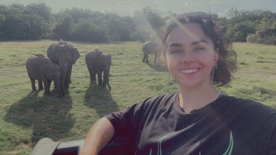 Elephant Safari Hurulu Eco park - What to Expect During the Safari