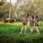 Elephant Sanctuary with Thai Cooking Experience in Chiang Mai - In-Depth Breakdown of the Itinerary