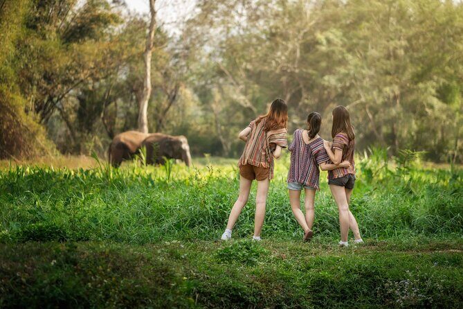 Elephant Sanctuary with Thai Cooking Experience in Chiang Mai - In-Depth Breakdown of the Itinerary