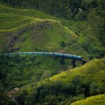 Ella: 3-Day Tour with Village Experience and Meals - Who Will Love This Tour?