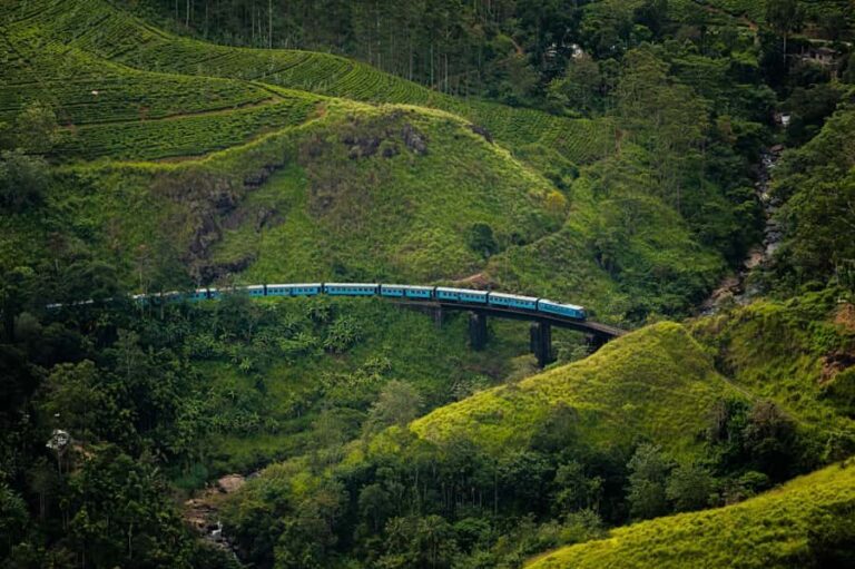 Ella: 3-Day Tour with Village Experience and Meals - Who Will Love This Tour?