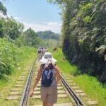 Ella and Yala National park Tour from Colombo - Exploring the Itinerary in Detail