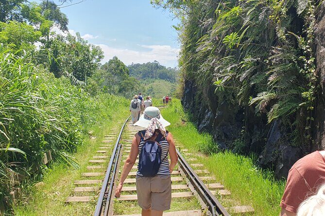 Ella and Yala National park Tour from Colombo - Exploring the Itinerary in Detail