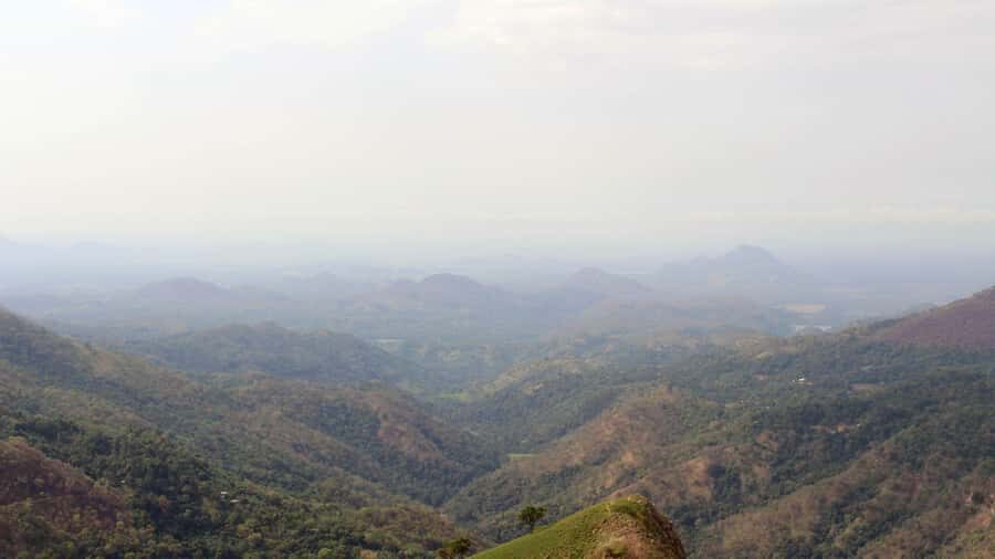 Ella: City Tour with Lunch, Nine Arch Bridge & Waterfall - Practical Details and Personal Experience Insights