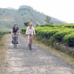 Ella Cycling Tour - Exploring Ella on Two Wheels: What the Tour Offers