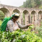 Ella Day Tour from Mirissa/Tangalle/Waligama - Stop 1: Ella Rock