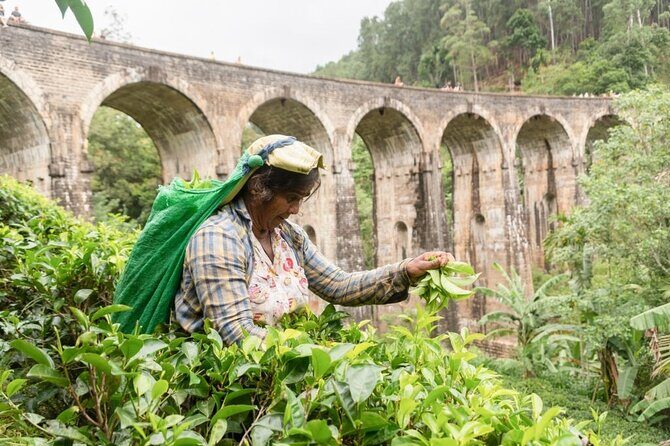 Ella Day Tour from Mirissa/Tangalle/Waligama - Stop 1: Ella Rock