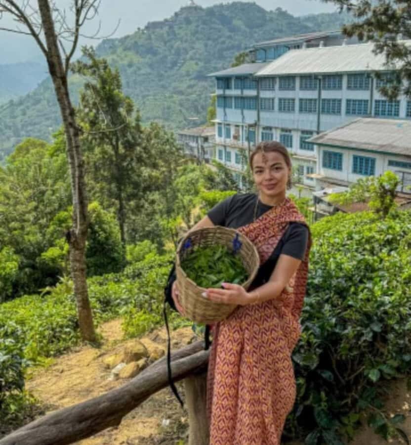 Ella: Halpe Tea Factory Tour with Tuk-Tuk Scenic Drive - Visiting Uva Halpewatte Tea Factory