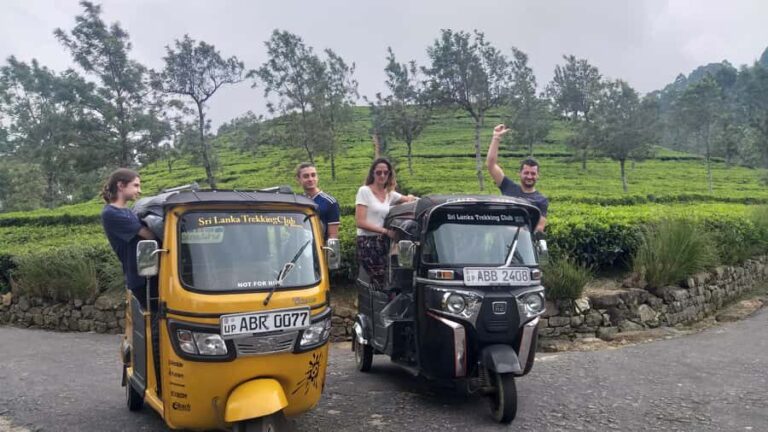 Ella Haputae Tea Plantation Safari By TukTuk & Cooking Class - Practical Details & Insights