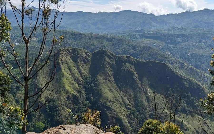 Ella: Pekoe Trail Stage 15 Guided Hike (Makulella to Ella) - Detailed Breakdown of the Itinerary