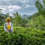 Ella: Pekoe Trail Stage 16 Guided hike (Ella-Demodara) - Exploring the Pekoe Trail Stage 16: What to Expect