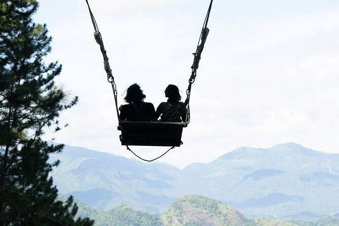 Ella Swing in Ella - Who is This Experience Best For?