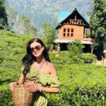 Ella: Tea-Making Experience Tour with Tasting & Snacks - Why This Tour Works