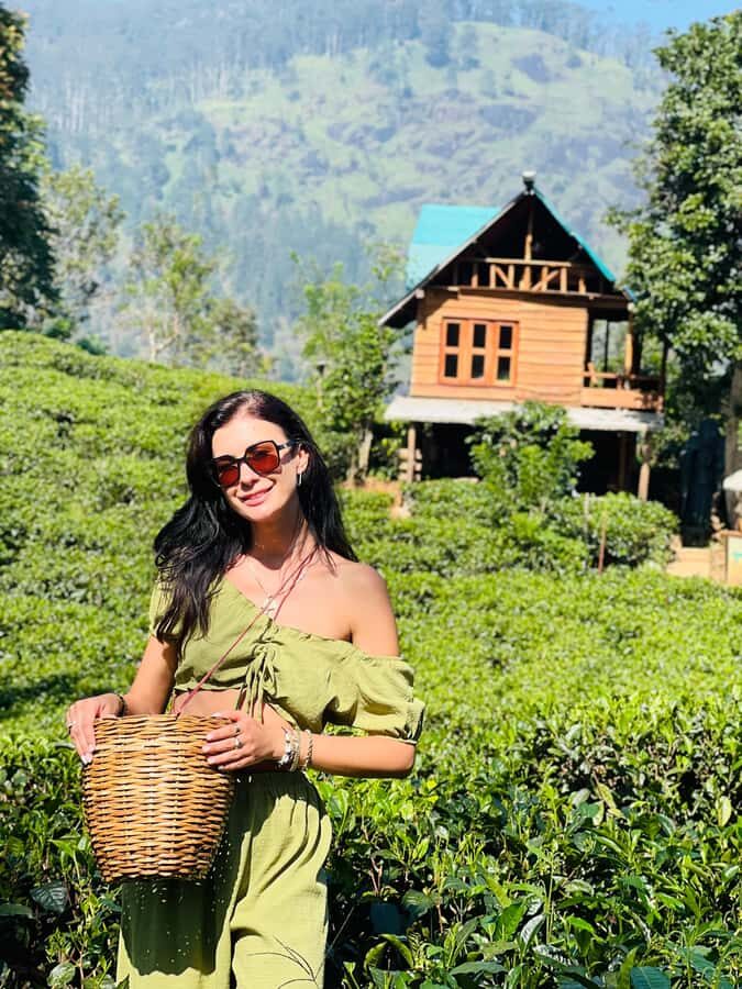 Ella: Tea-Making Experience Tour with Tasting & Snacks - Why This Tour Works